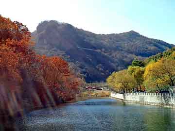 新澳门二四六天天彩，茅山道士小说